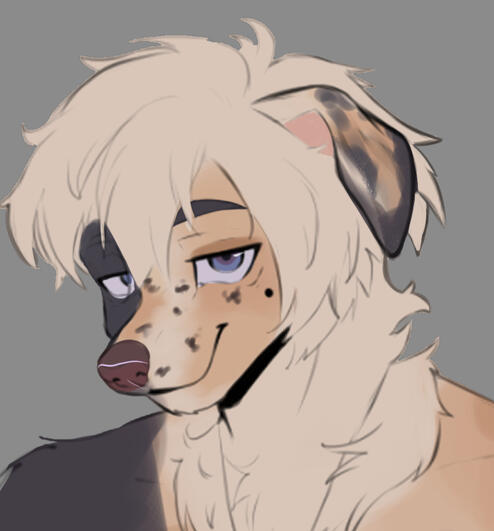 Commissions